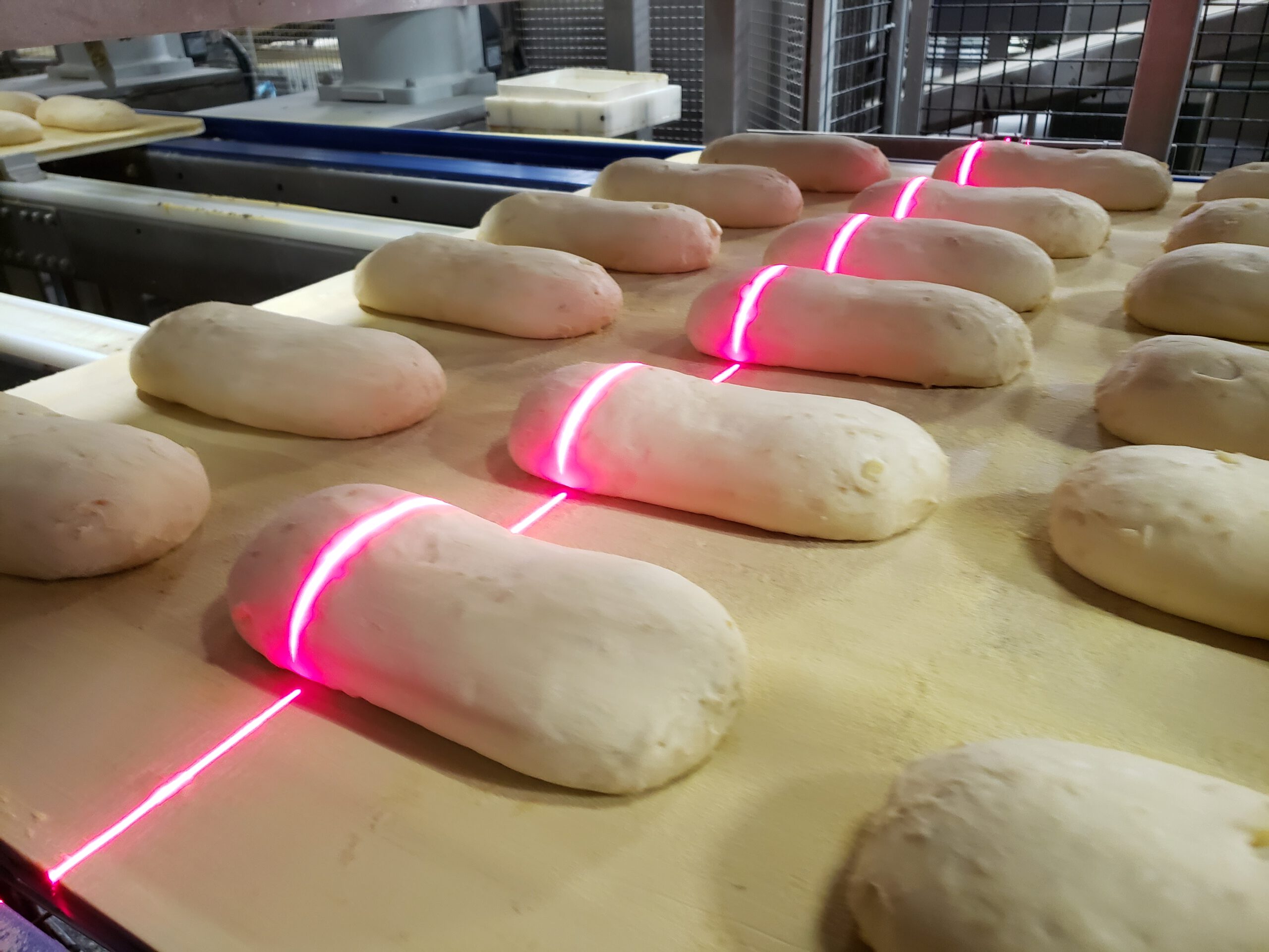 Laser line projected across bread for 3D based Machine vision quality control