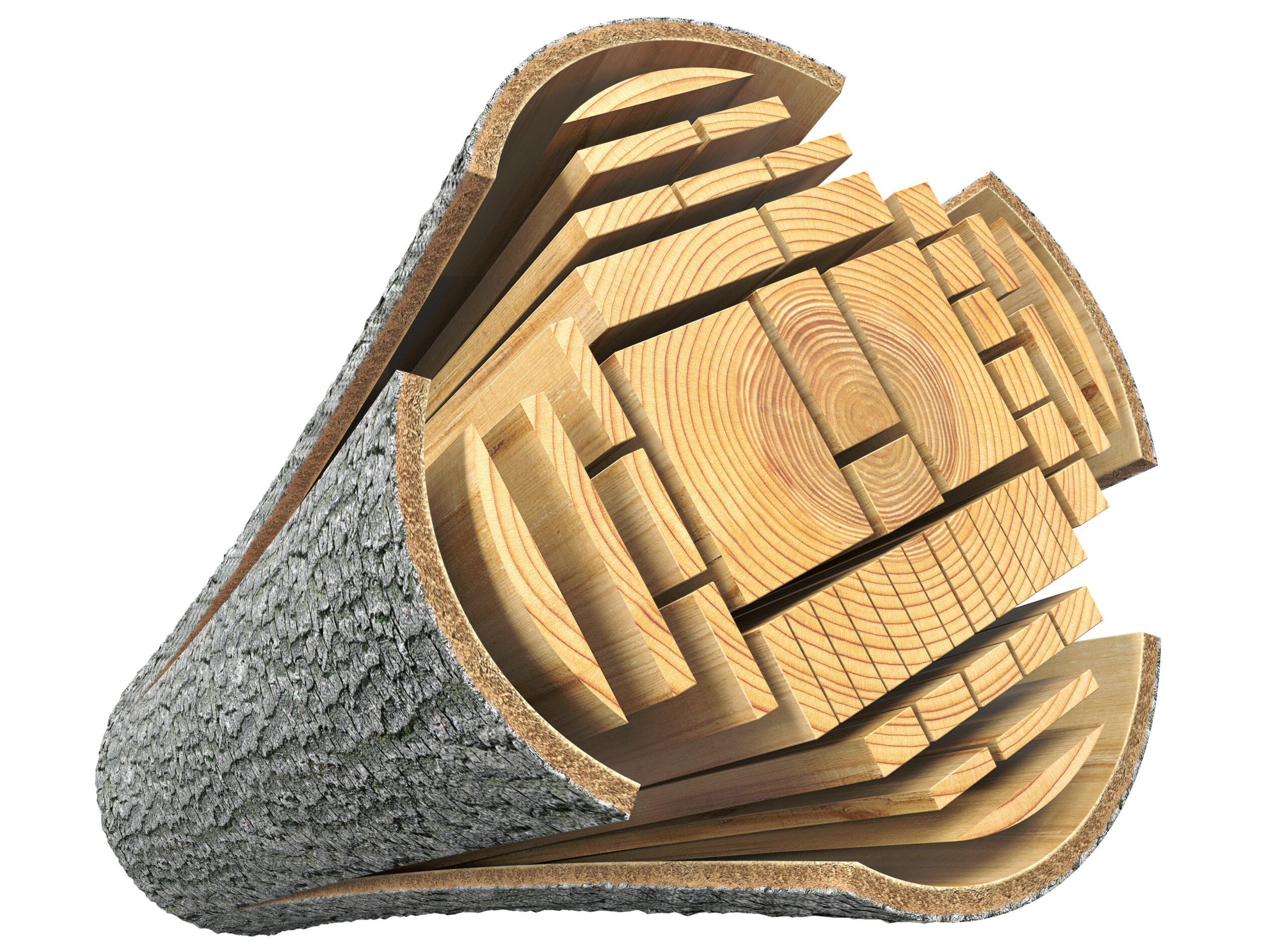 Cross-section of optimizing raw log into construction wood using laser based optimization